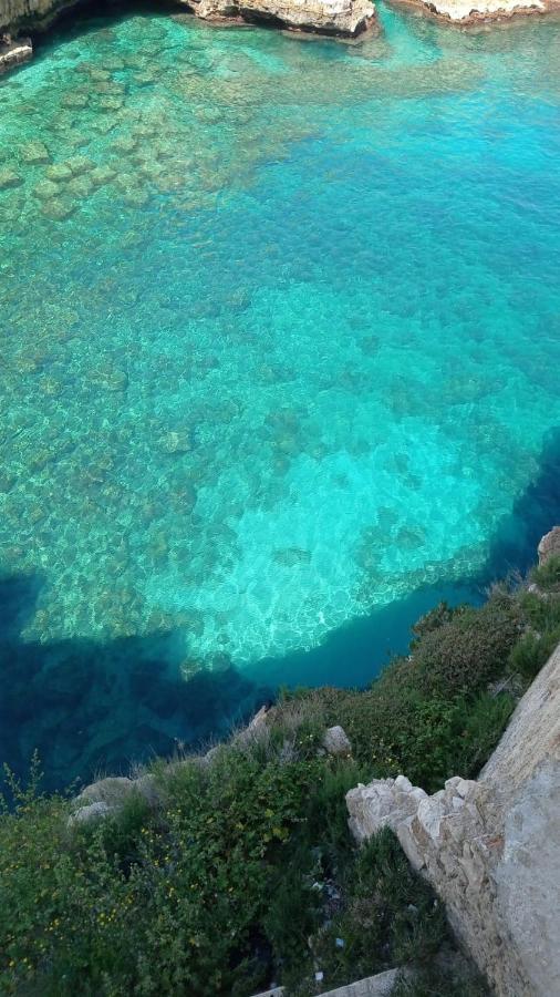 B&B Volare Polignano a Mare Kültér fotó